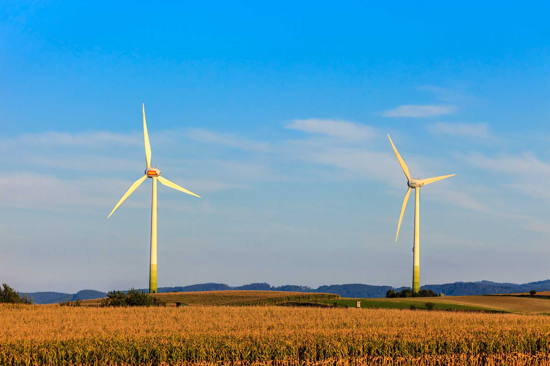 Neuwagen entsprechen den höchsten Umweltstandards